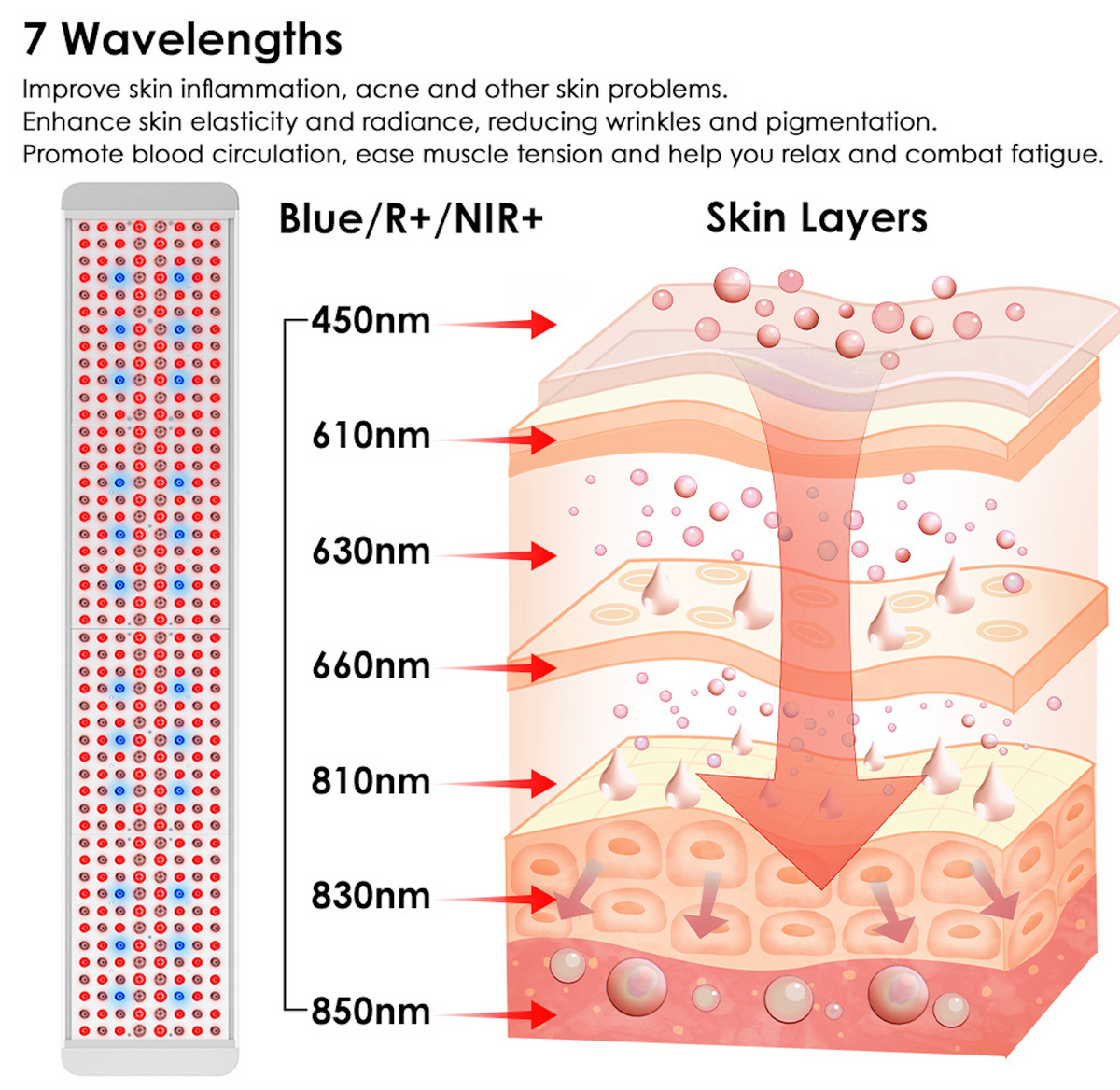 The Panorama Panel Full Body Red Light Therapy Panel - 480 LEDs, 7 Wavelengths